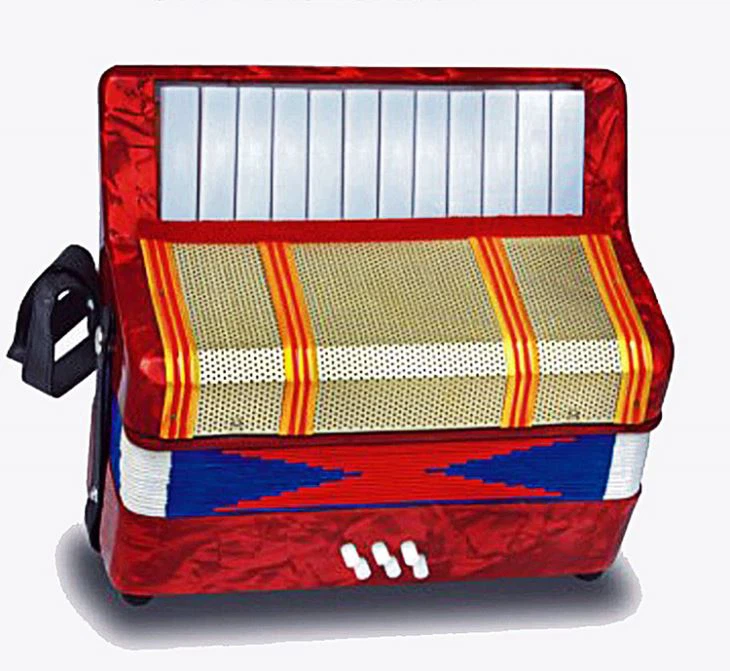 Acordeon De Vanzare