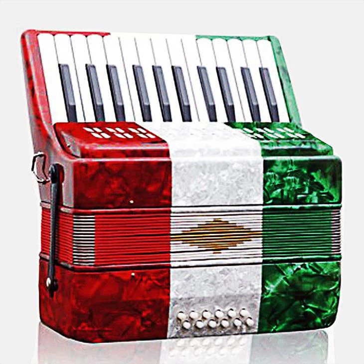 Acordeon cu 25 de taste