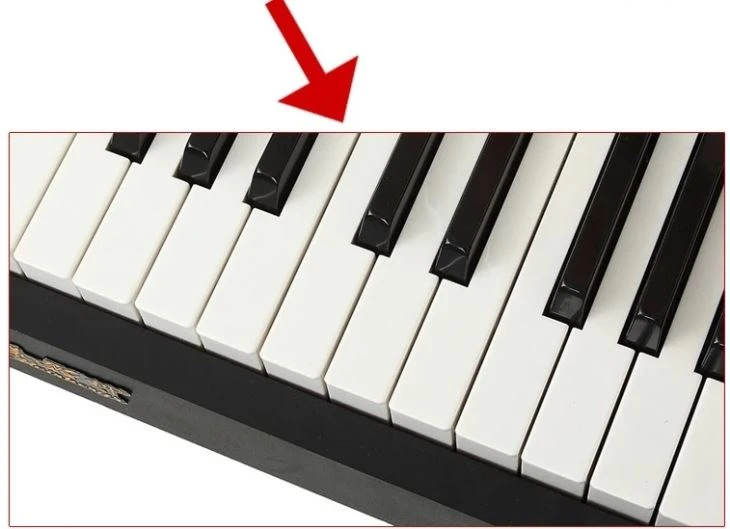 37 Key Electronic Organ